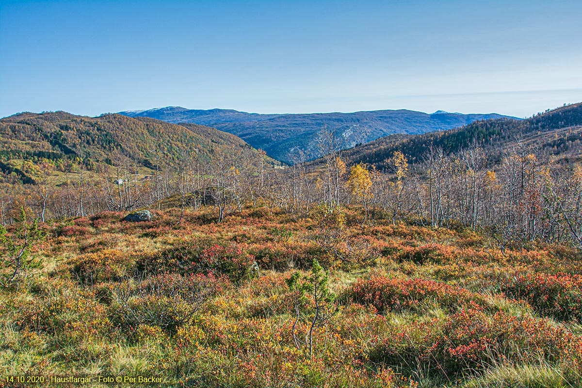 Haustfargar