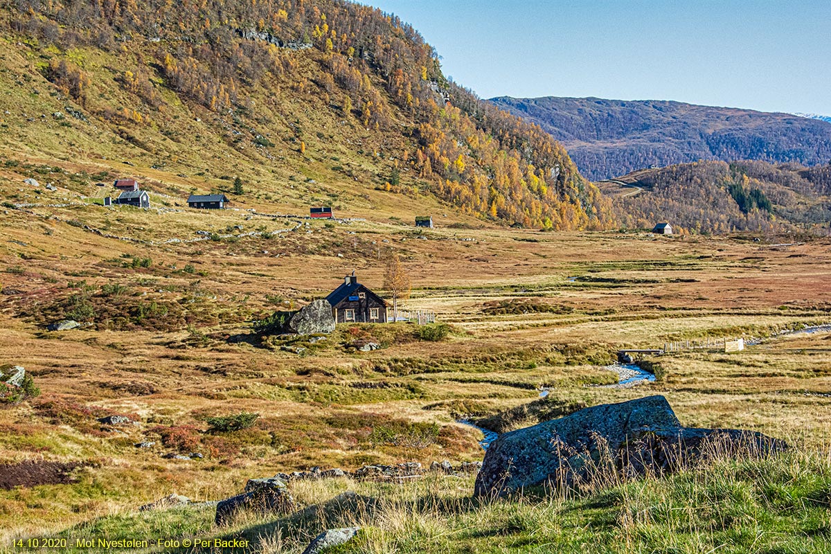 Nyestølen