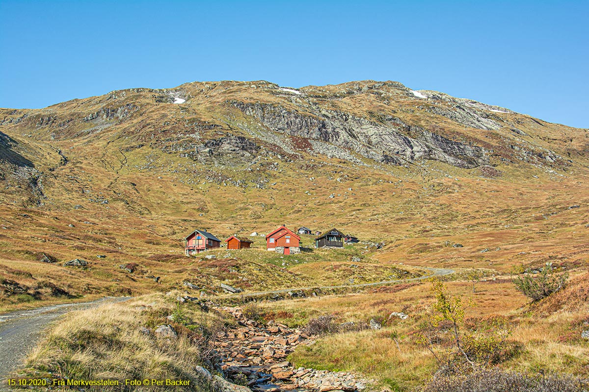 Frå Mørkvesstølen