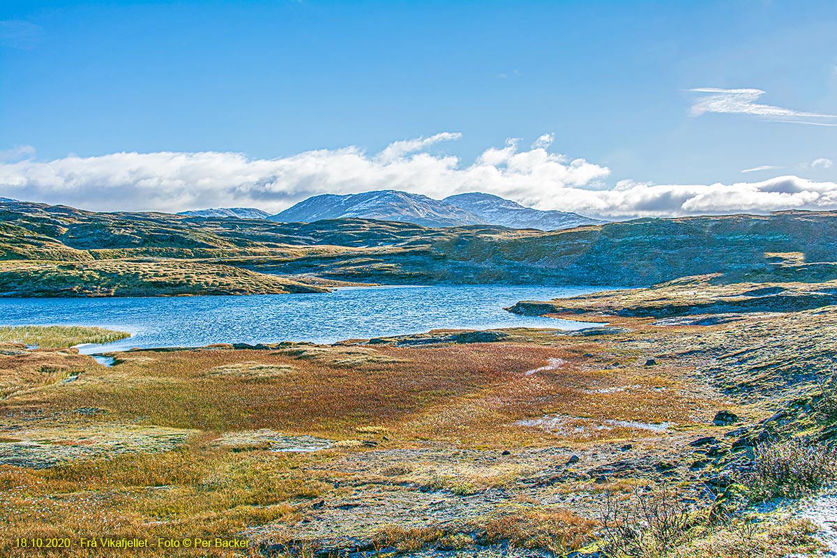 Frå Vikafjellet