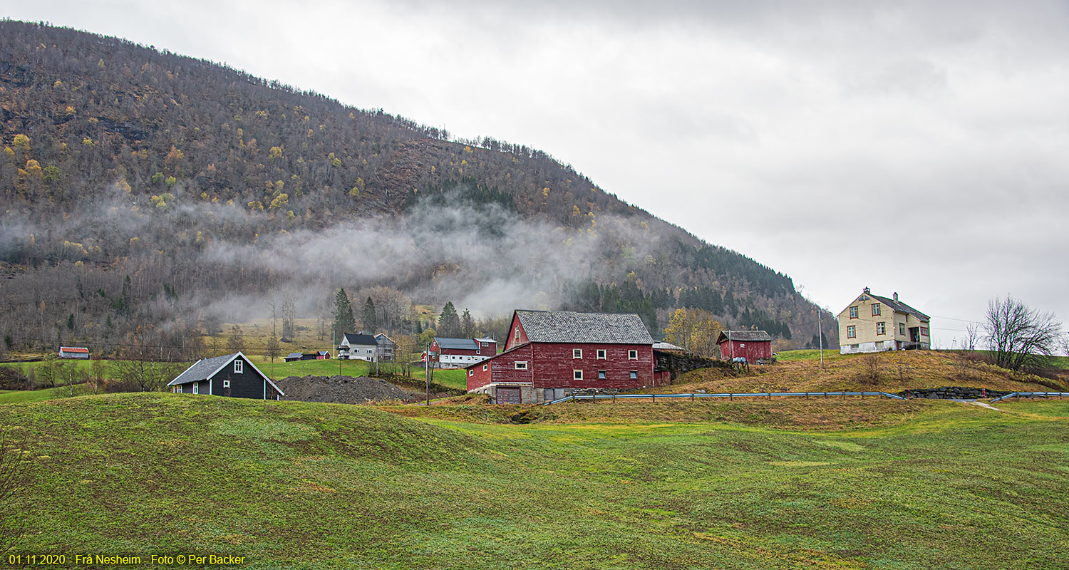 Frå Nesheim