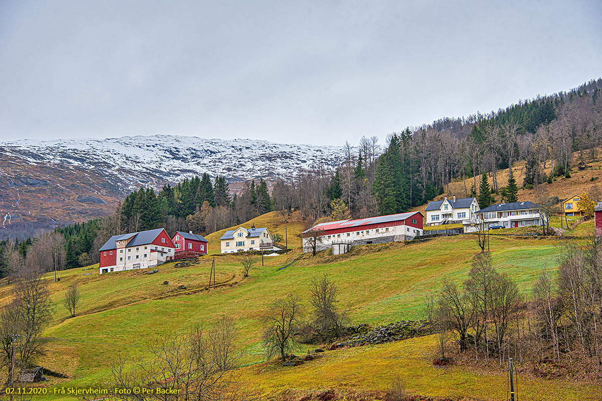 Frå Skjervheim