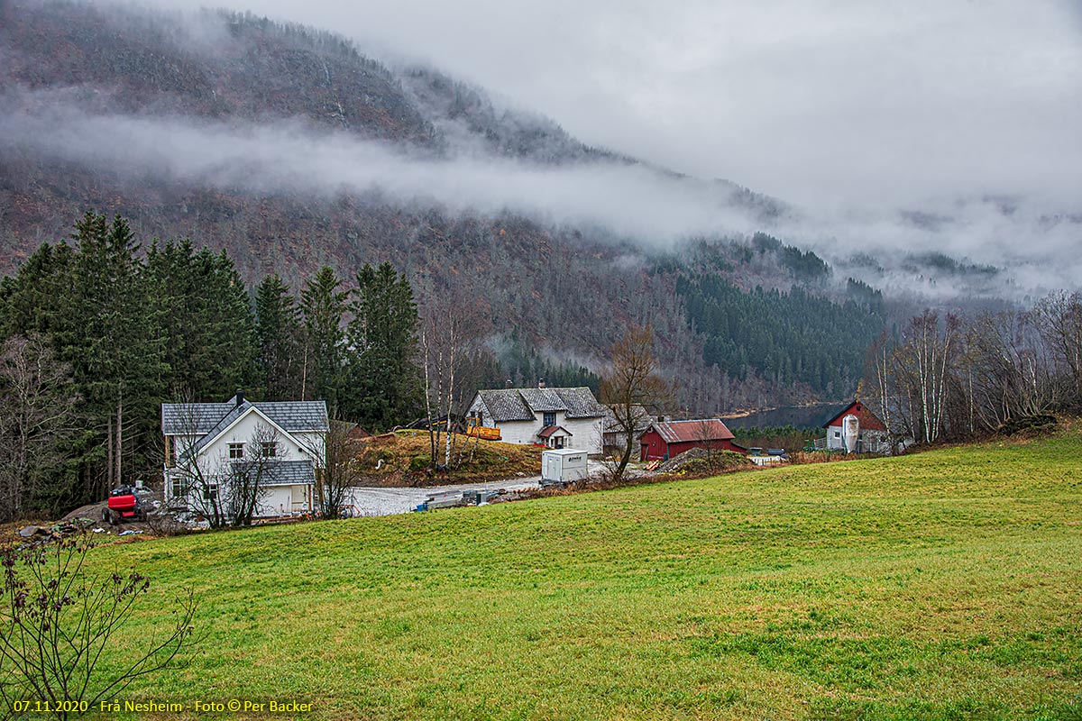 Frå Nesheim