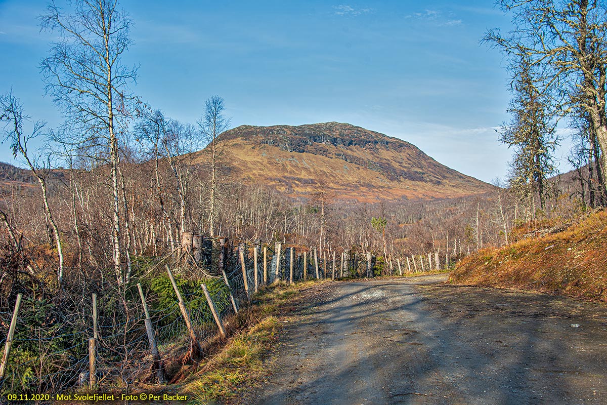 Mot Svolefjellet