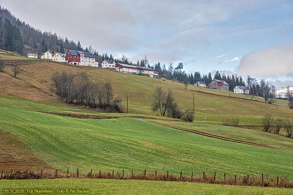 Frå Skjervheim