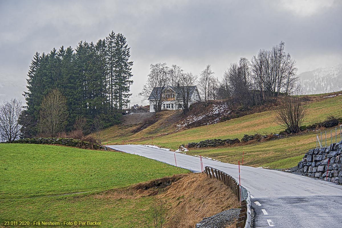 Frå Nesheim