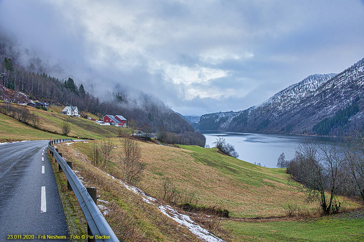 Frå Nesheim