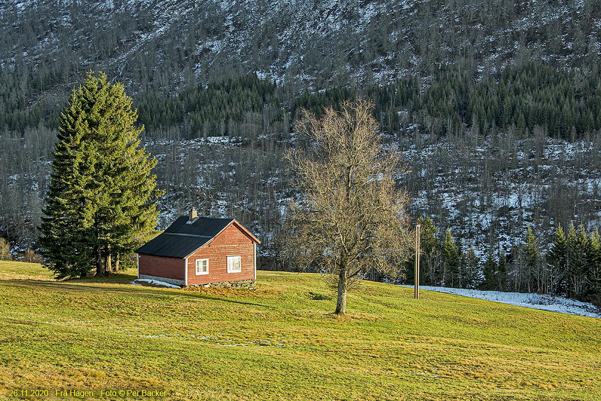 Frå Hagen