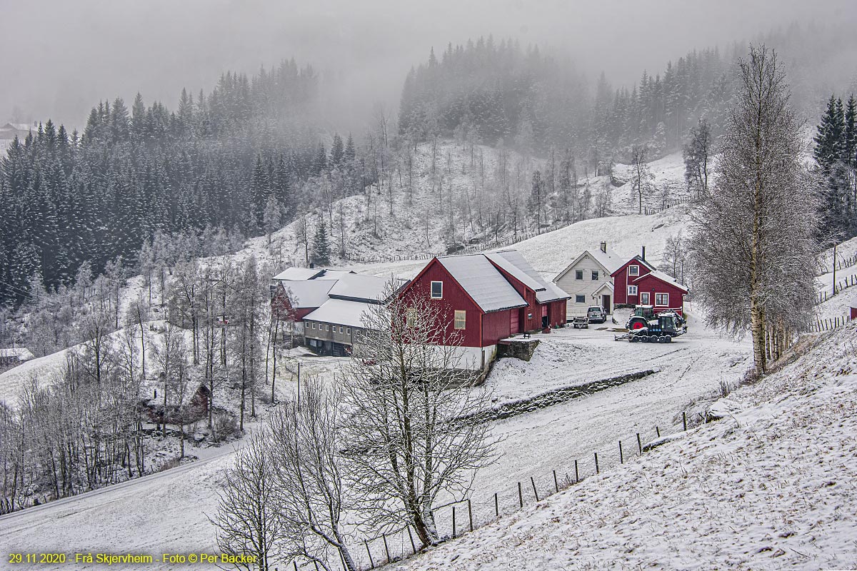 Frå Skjervheim