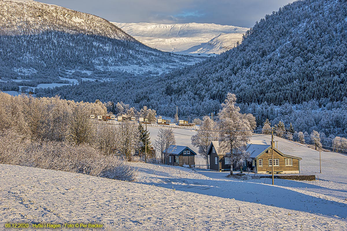 Hytte i Hagen