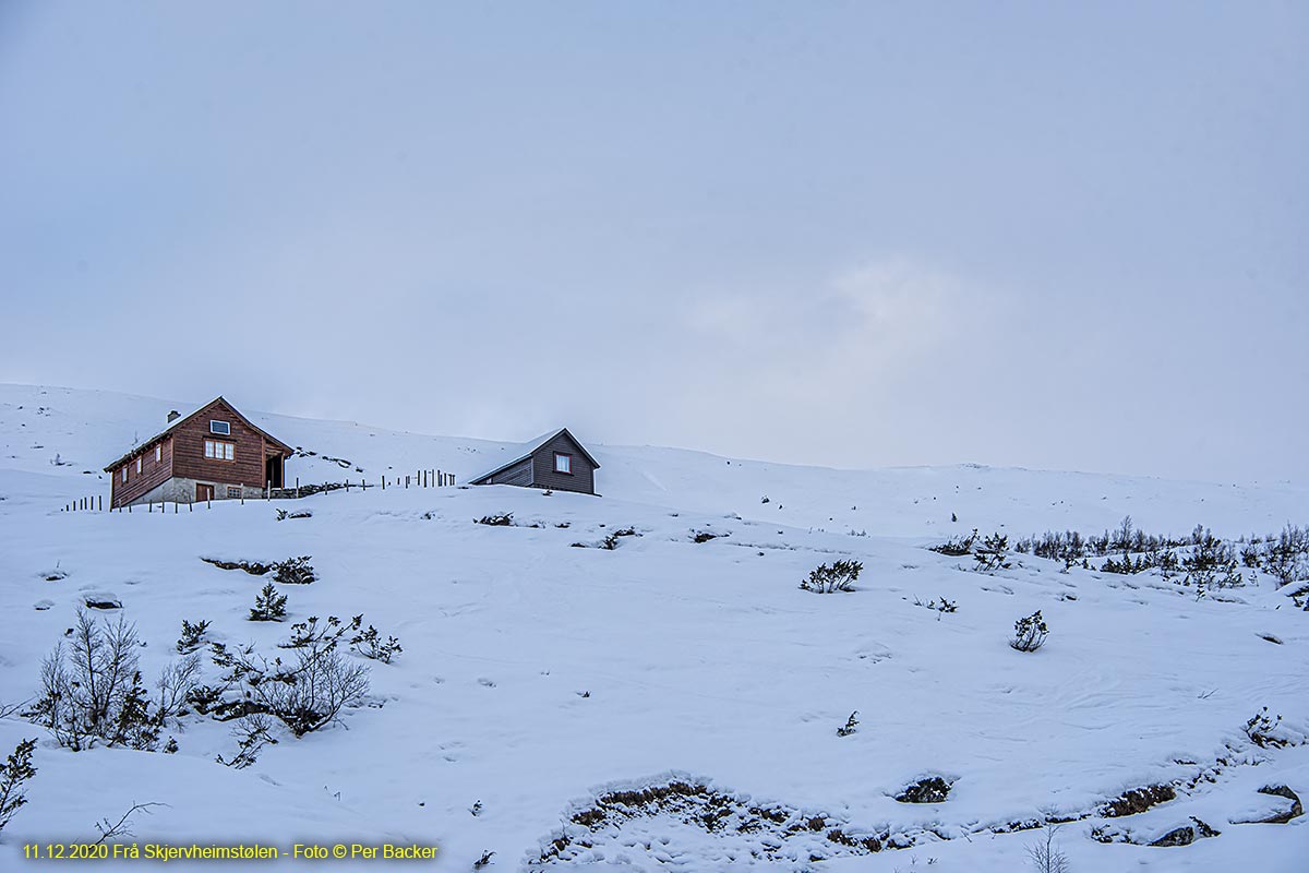 Frå Skjervheimstølen