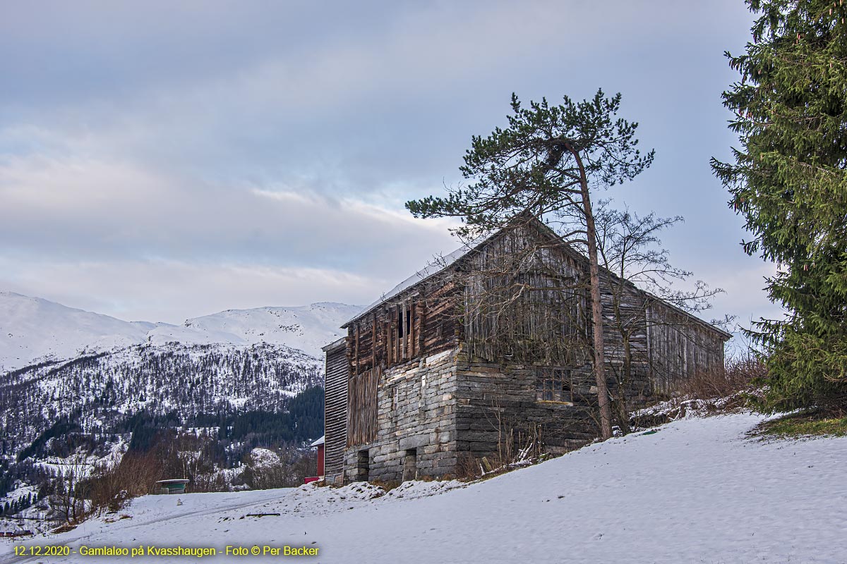 Gamlalæo på Kvasshaugen