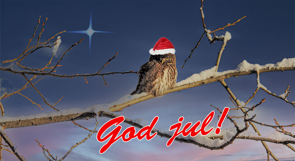 God Jul!