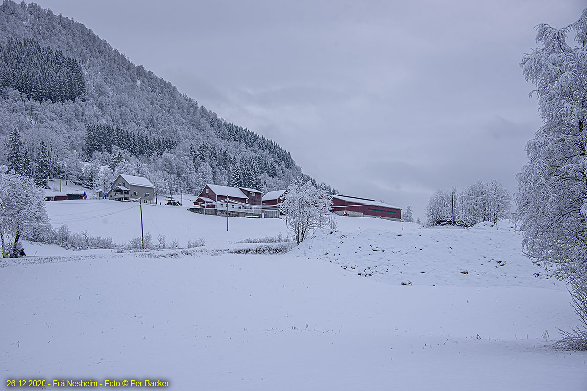 Frå Nesheim