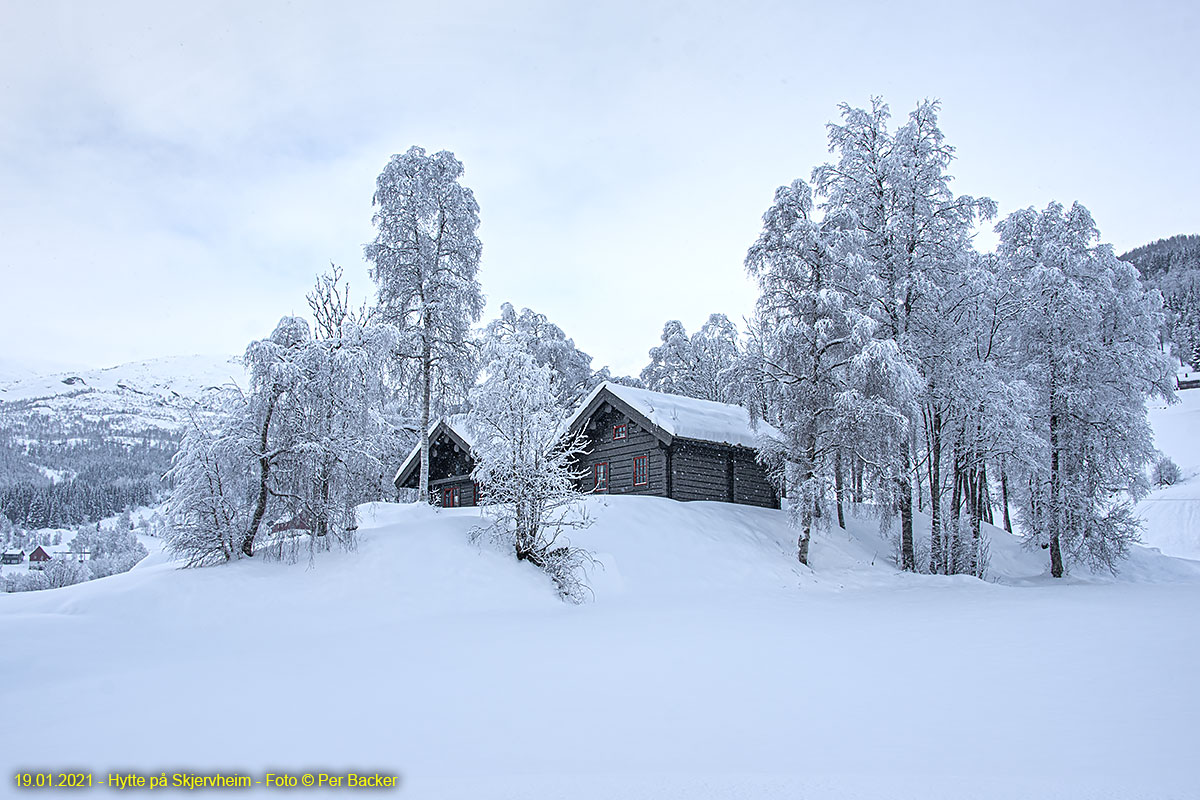 Hytte på Skjervheim