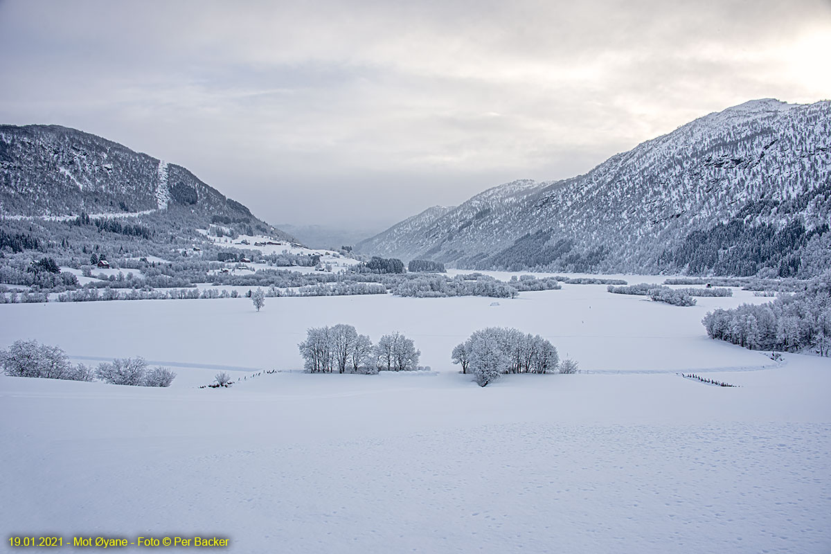 Mot Øyane