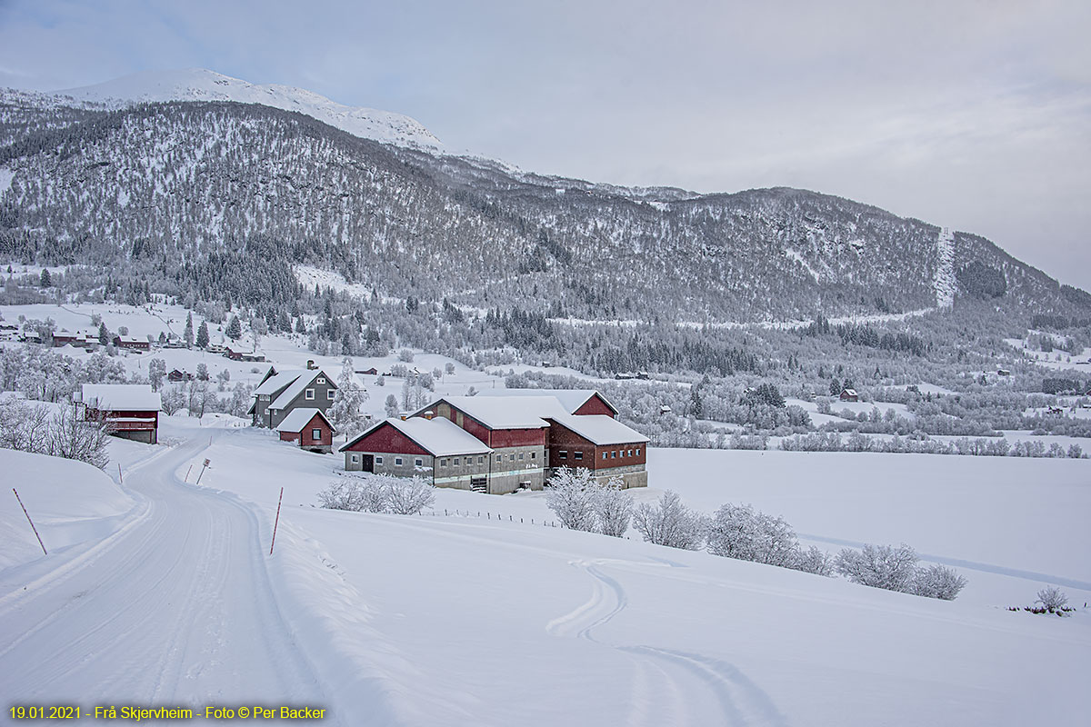 Frå Skjervheim