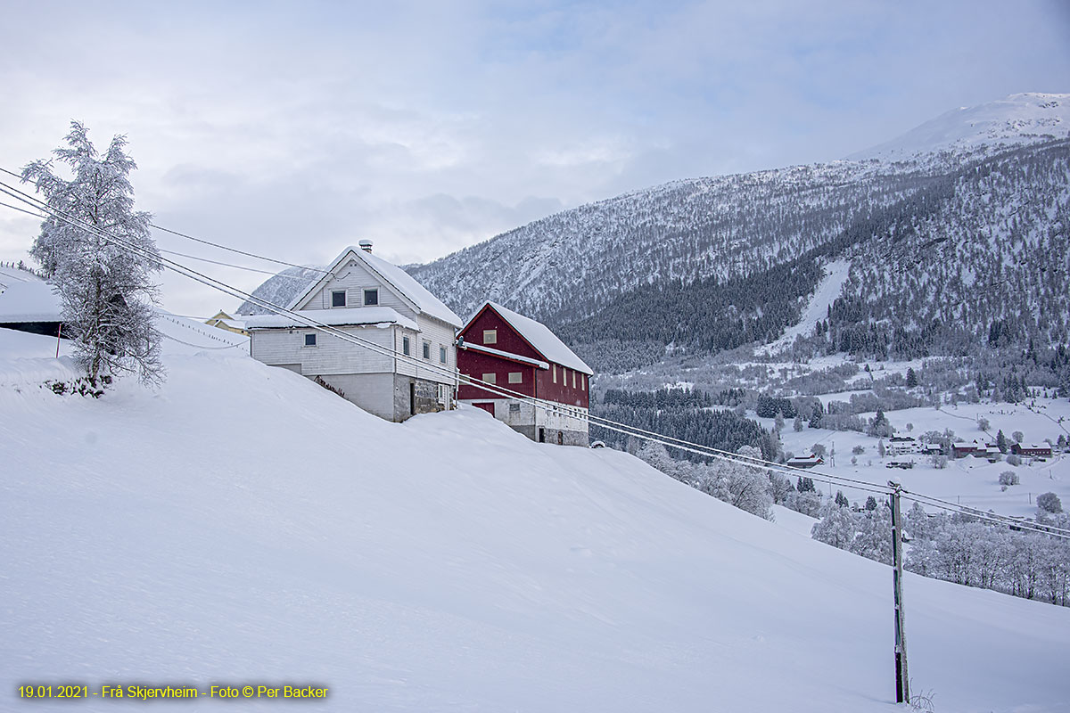 Frå Skjervheim