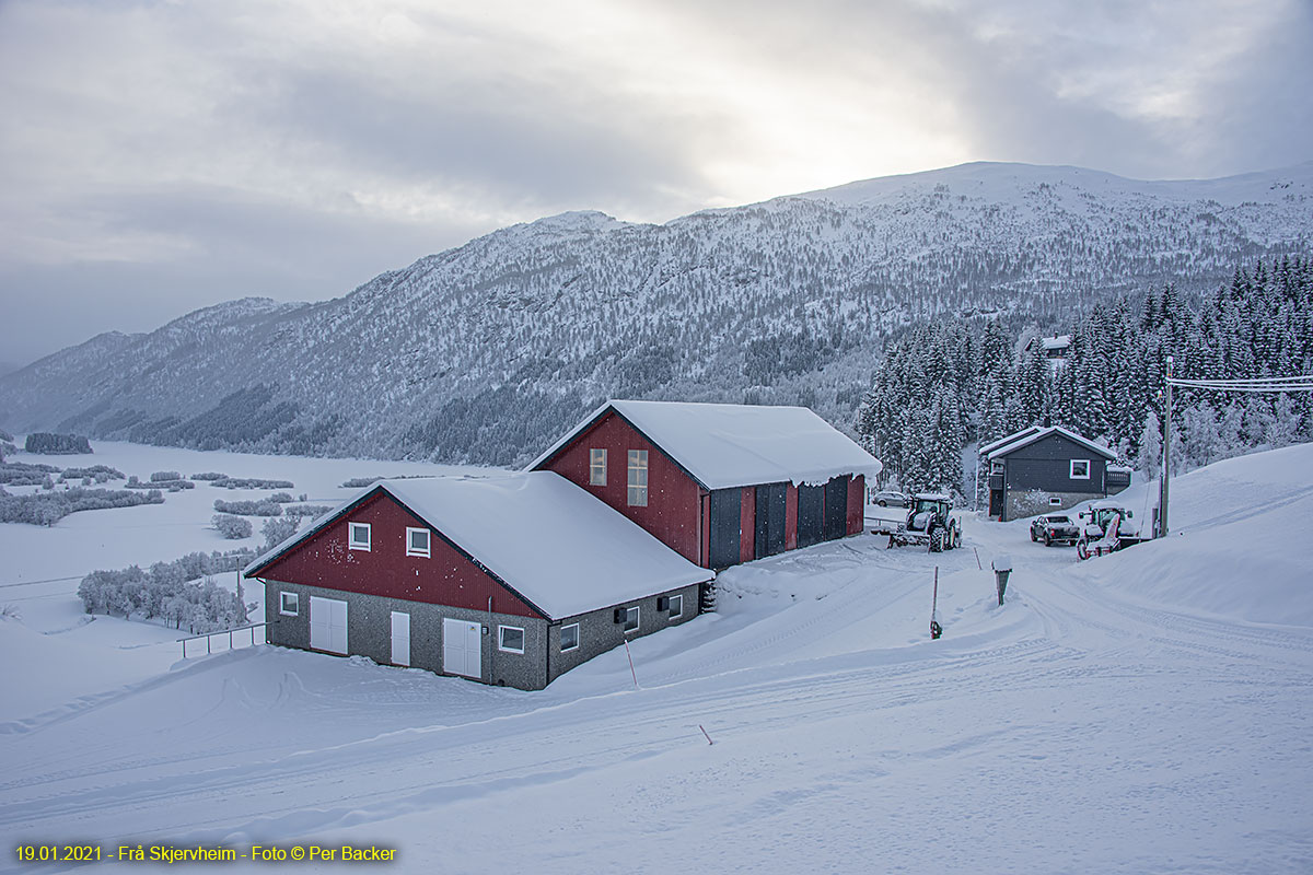 Frå Skjervheim