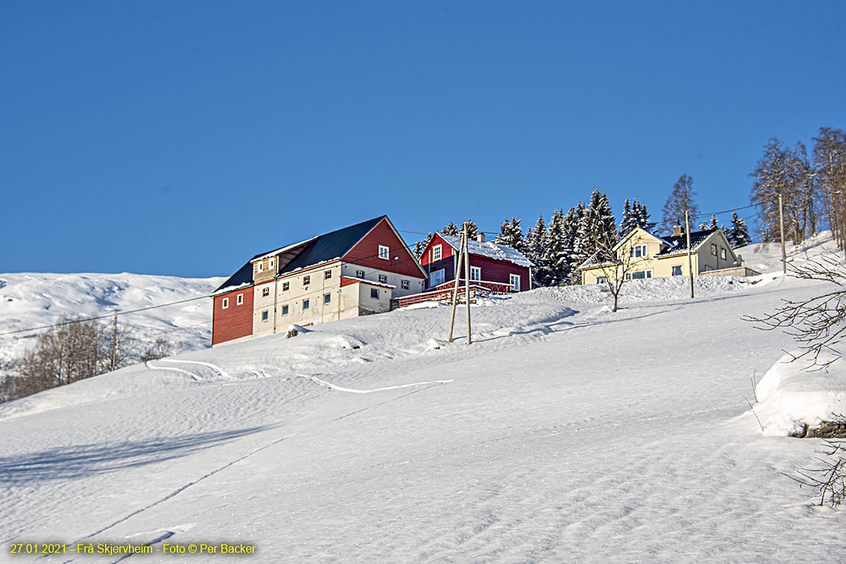 Frå Skjervheim