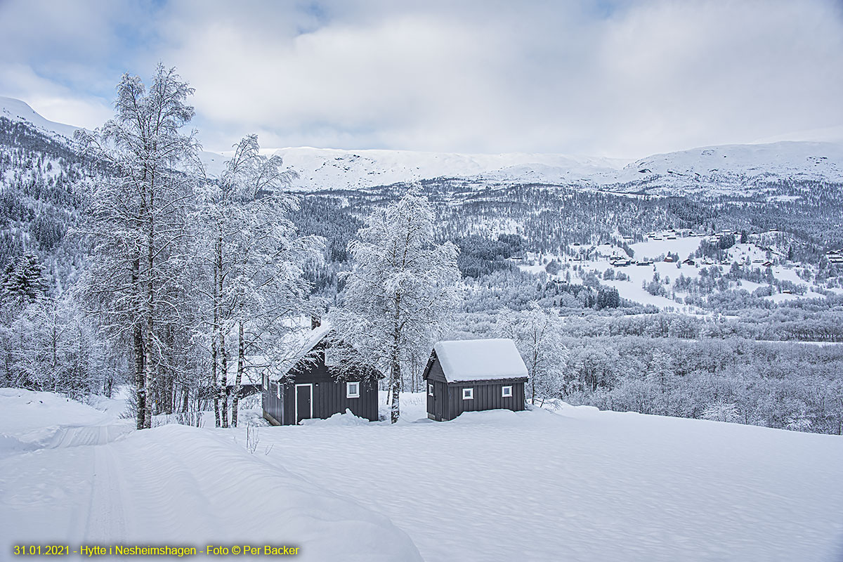 Hytte i Nesheimshagen