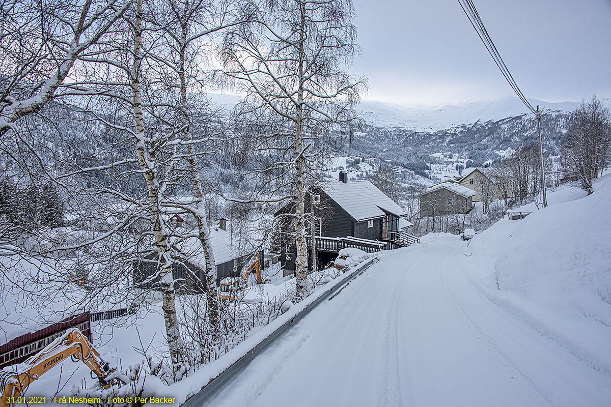 Frå Nesheim