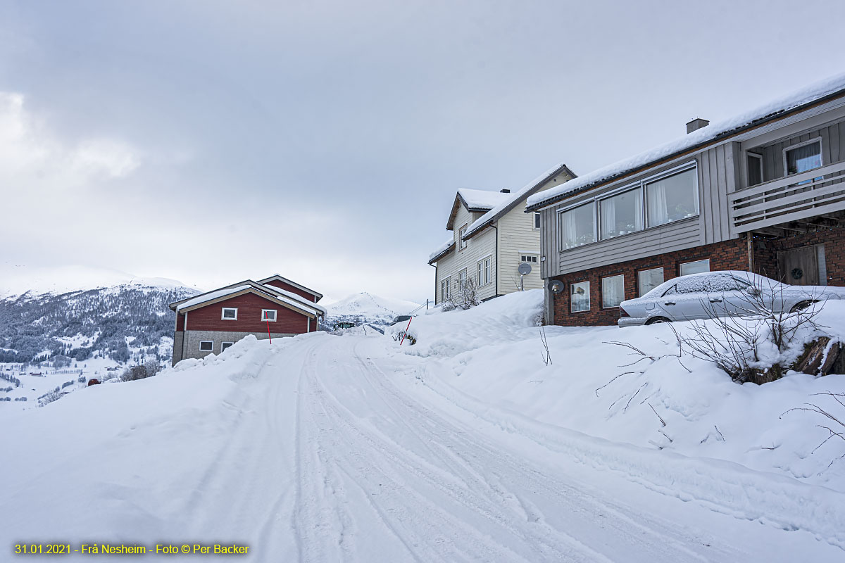 Frå Nesheim