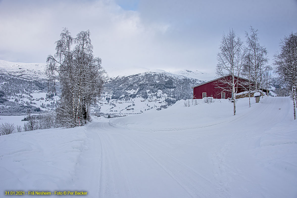 Frå Nesheim