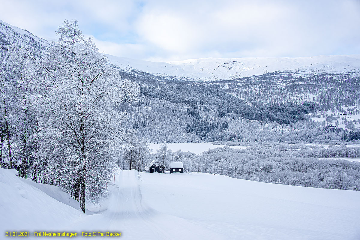 Frå Nesheimshagen