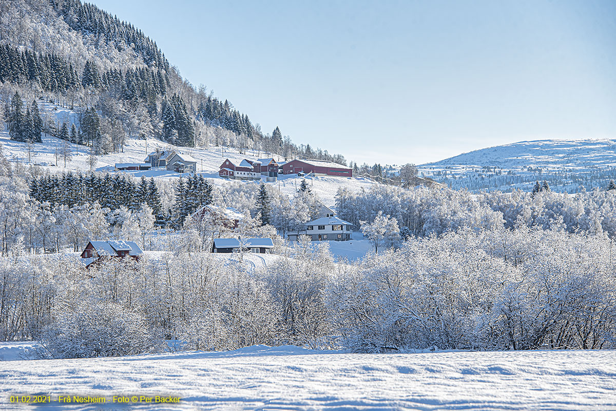 Frå Nesheim