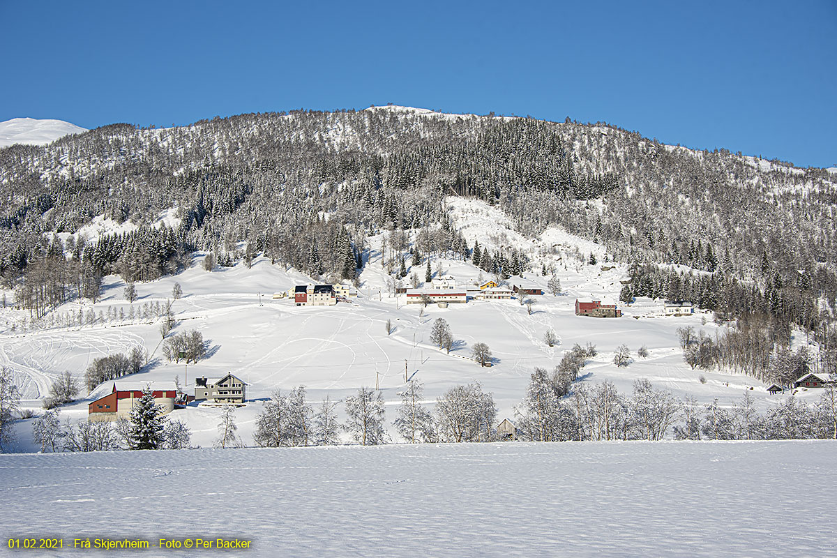 Frå Skjerveheim