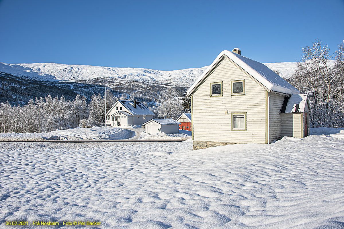 Frå Nesheim