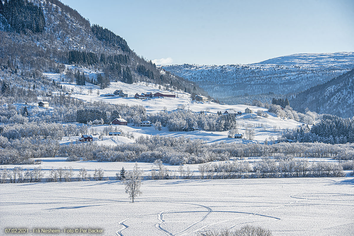 Frå Nesheim