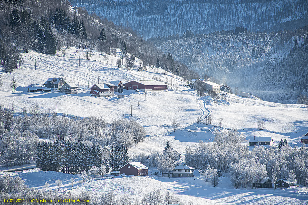 Frå Nesheim