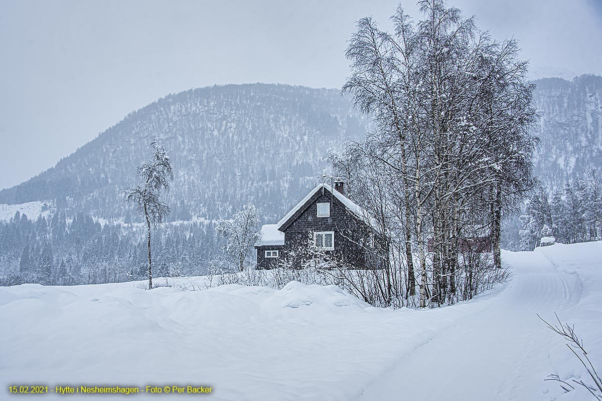 Hytte i Nesheimshagen