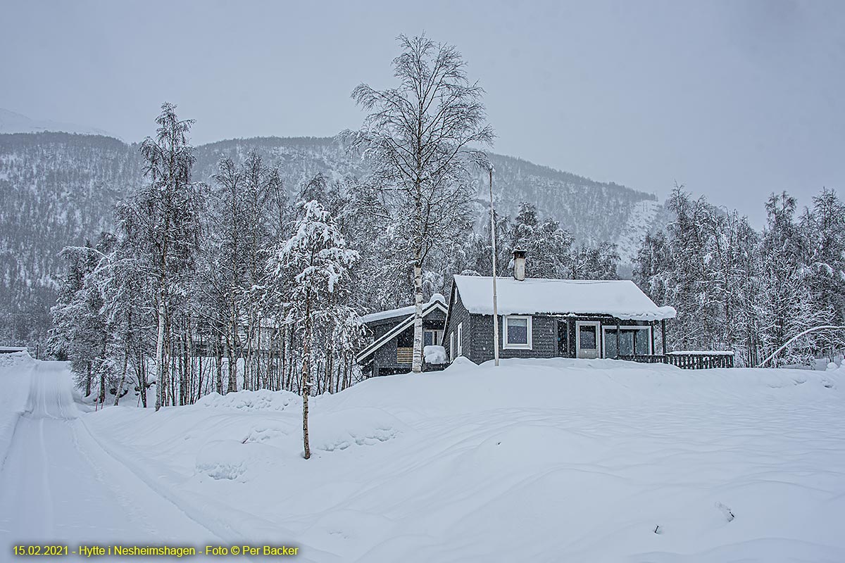 Hytte i Nesheimshagen