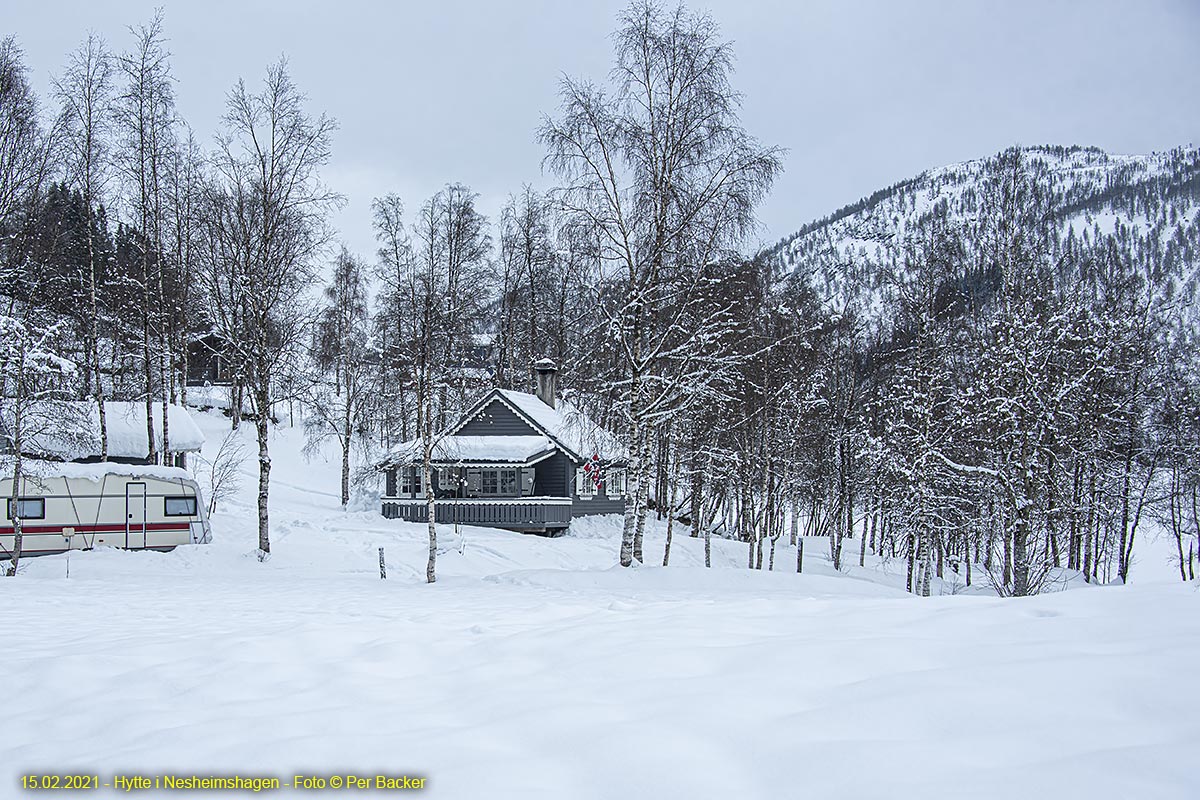 Hytte i Nesheimshagen