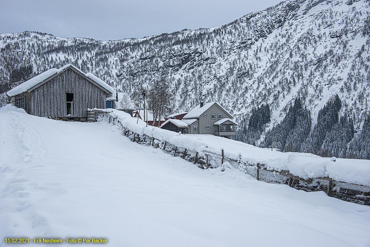 Frå Nesheim