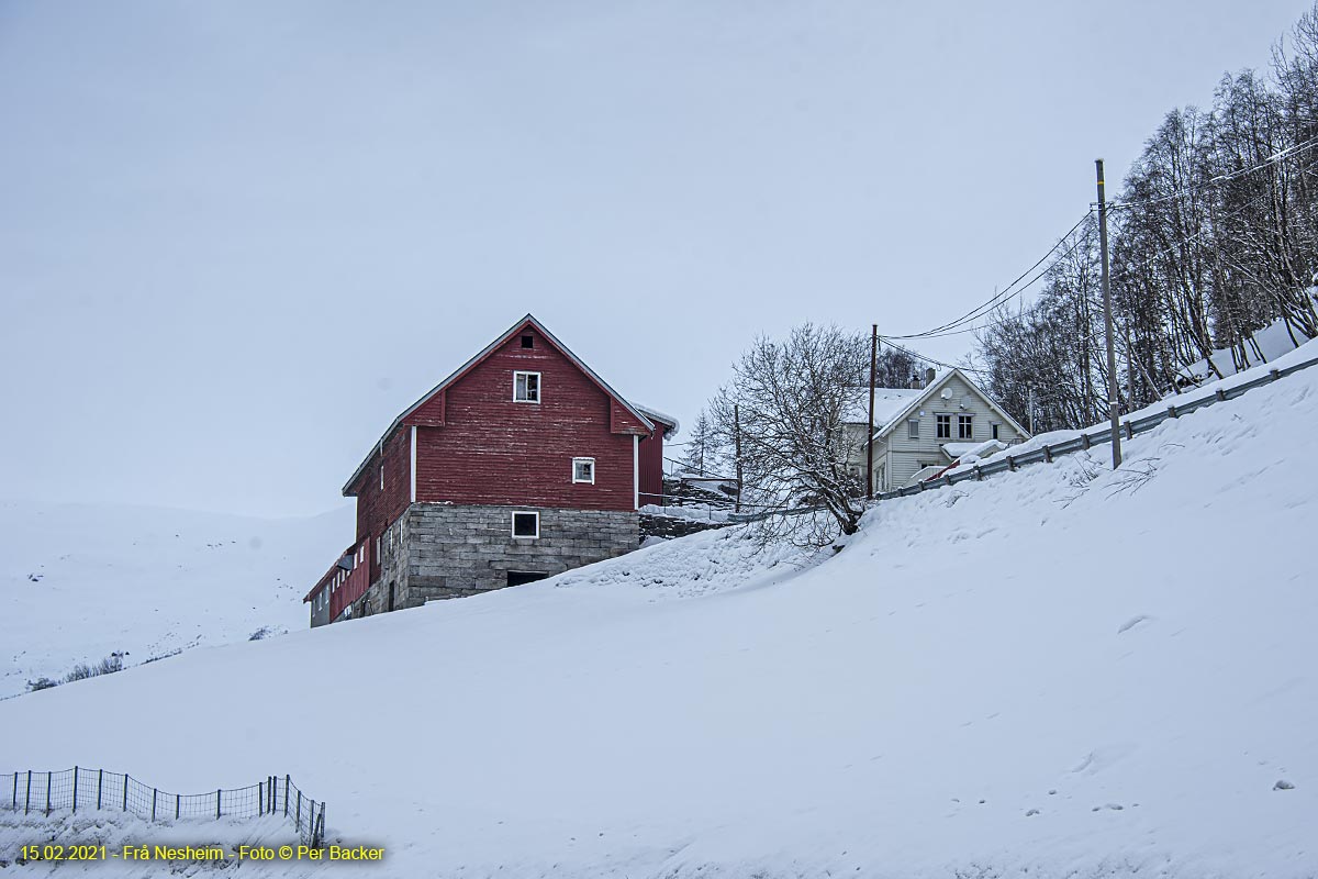 Frå Nesheim