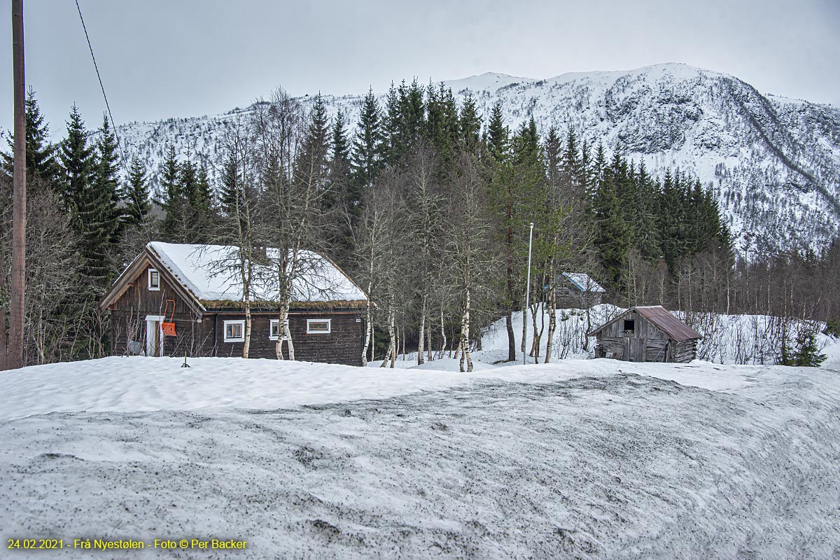 Frå Nyestølen