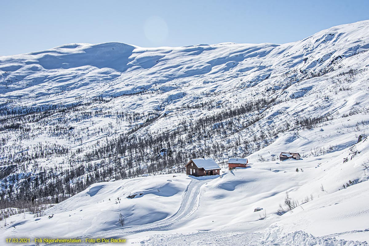 Frå Skjervheimstølen