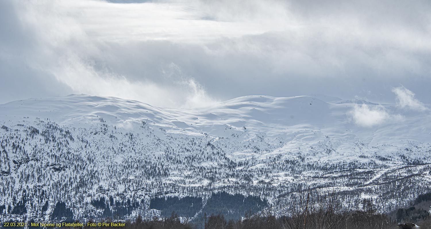 Mot Nipene og Flatafjellet