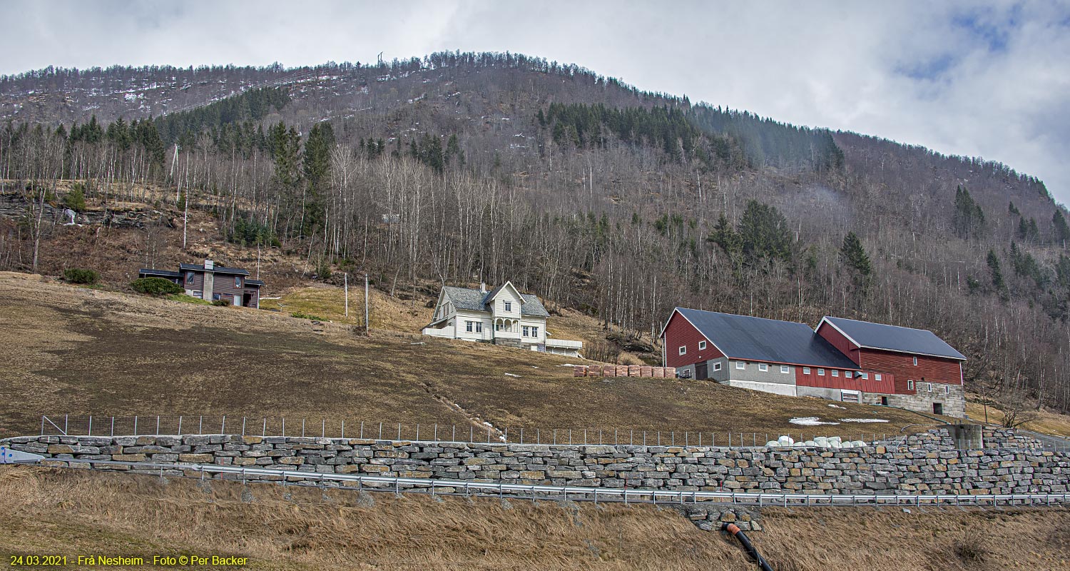 Frå Nesheim