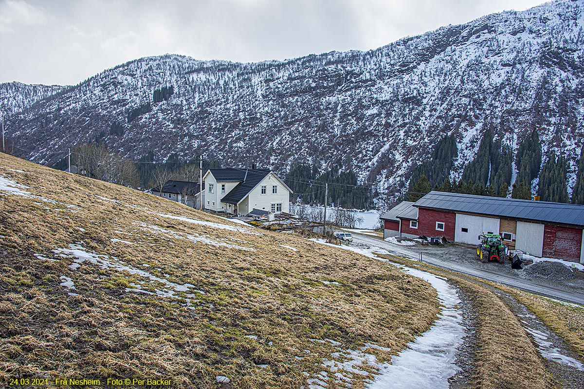 Frå Nesheim