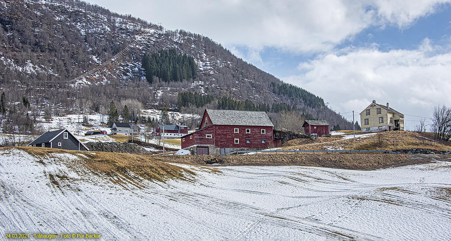 Tråhaugen