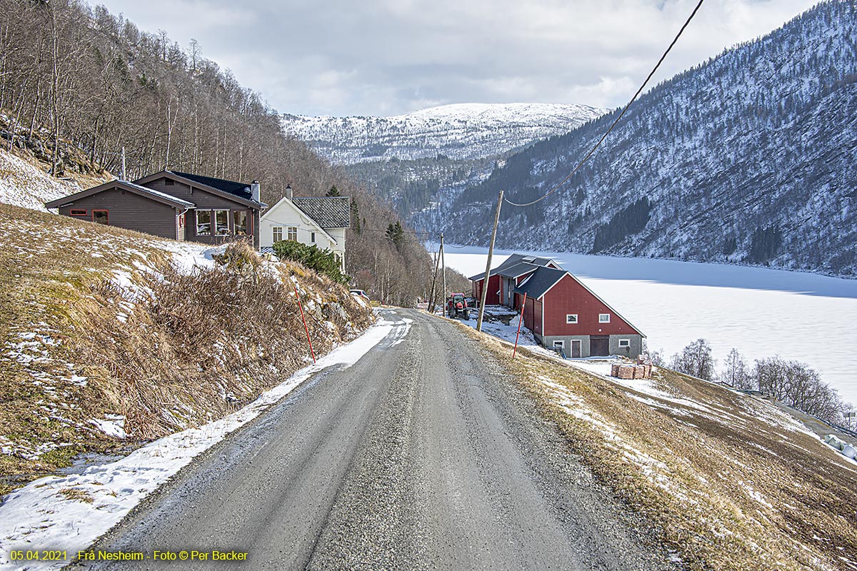 Frå Nesheim