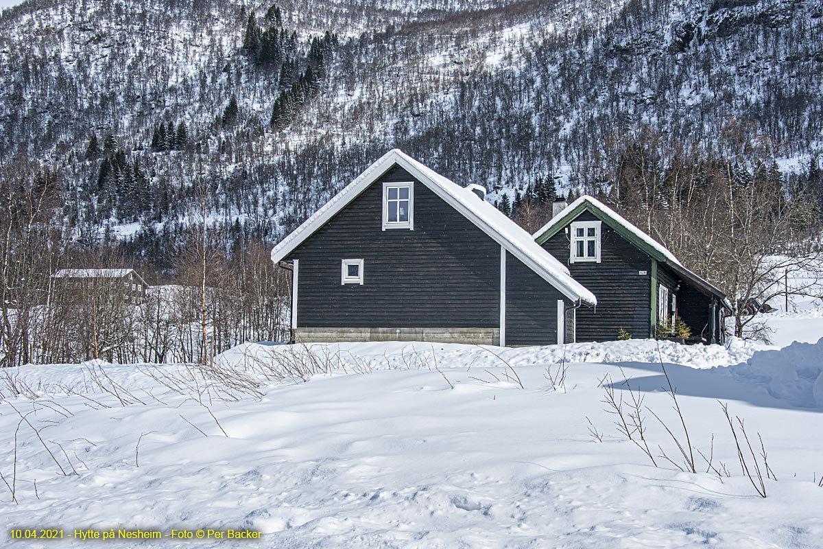 Hytte på Nesheim