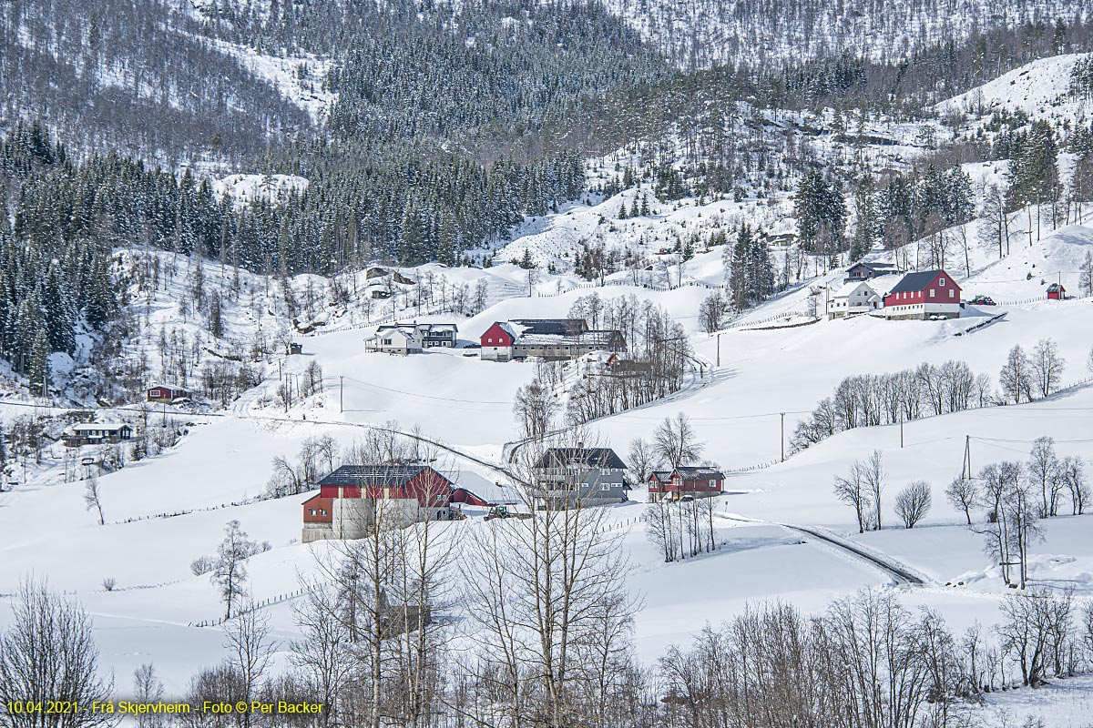 Frå Skjervheim