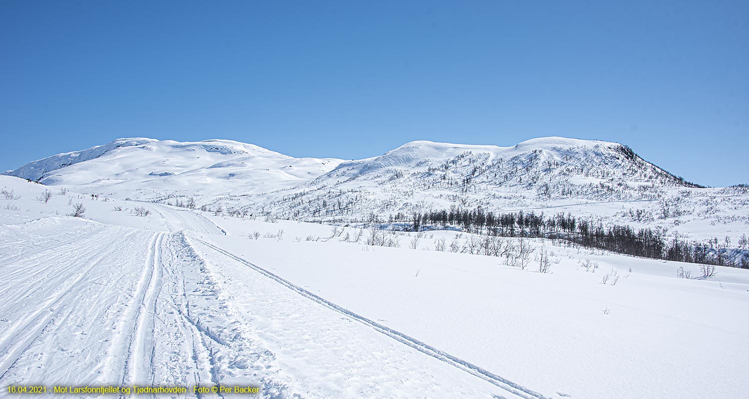 Mot Larsfonnfjellet og Tjødnarhovden