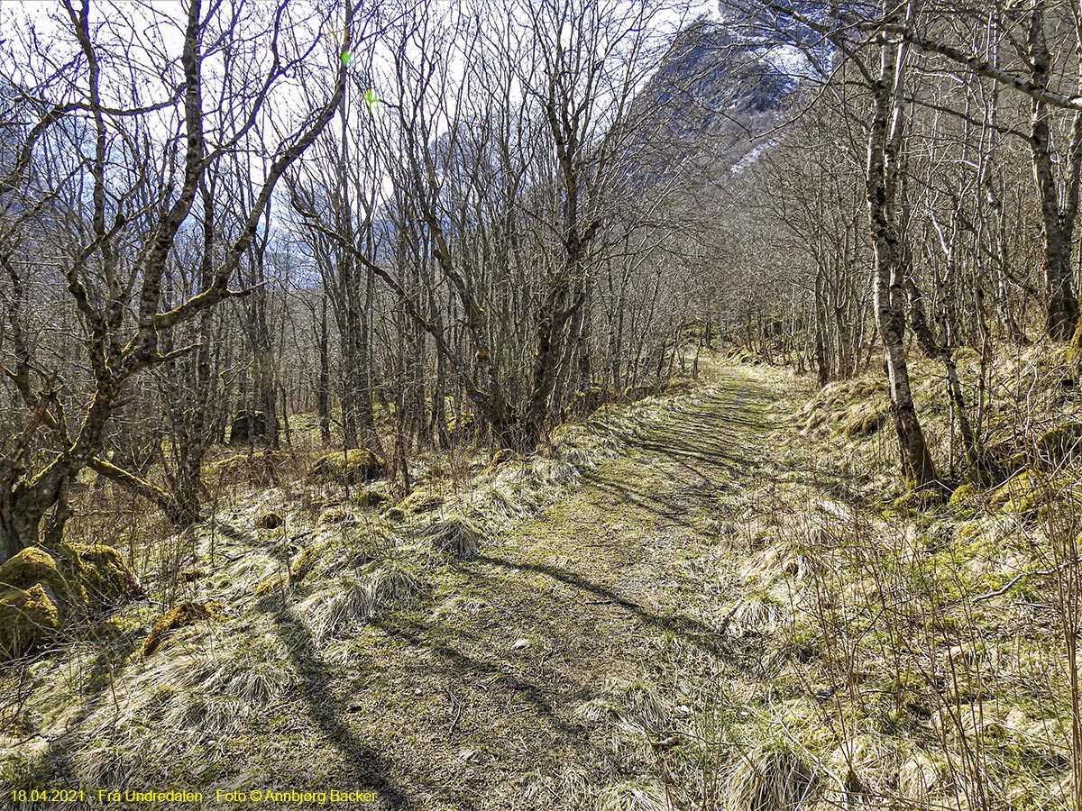 Frå Undredalen